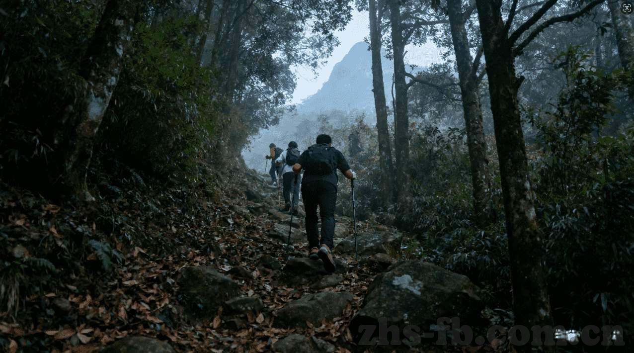 世界杯体彩赔率-世界杯体彩赔率，博弈中的智慧与激情